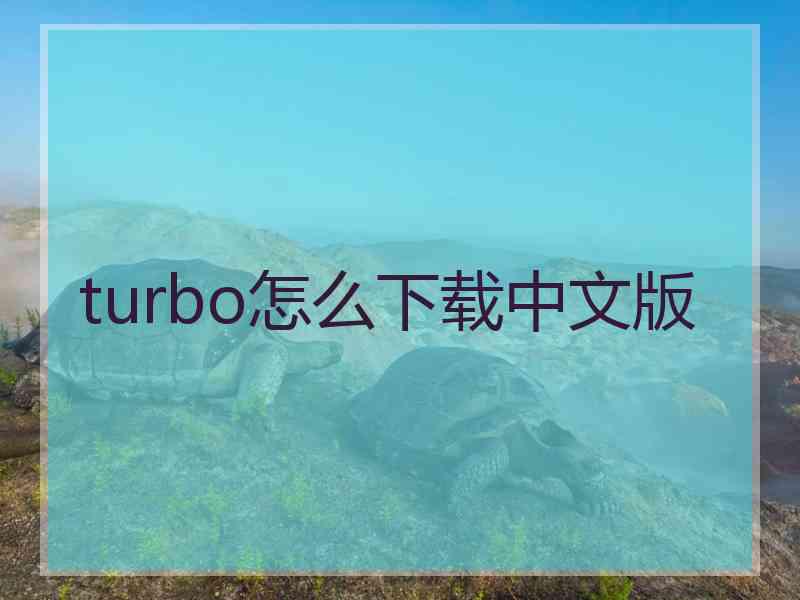turbo怎么下载中文版