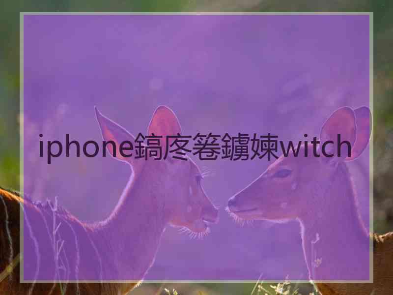 iphone鎬庝箞鐪媡witch