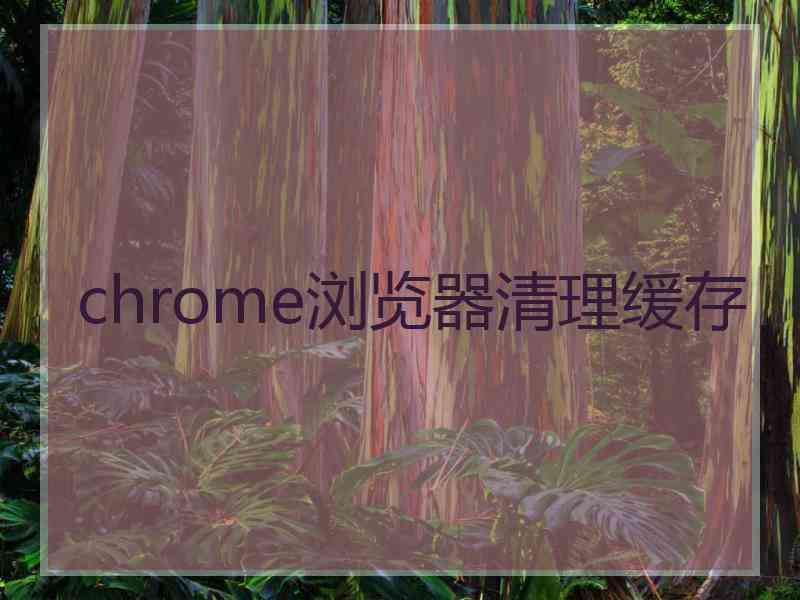 chrome浏览器清理缓存