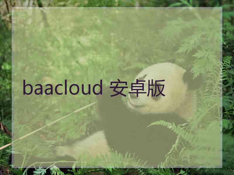baacloud 安卓版