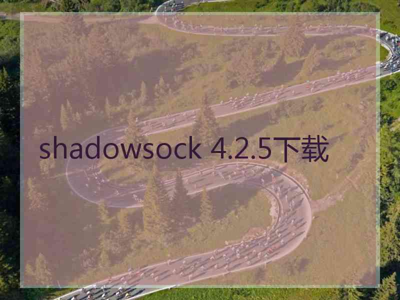shadowsock 4.2.5下载