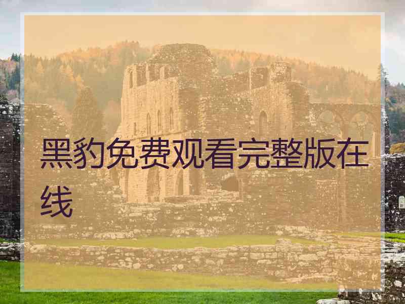 黑豹免费观看完整版在线