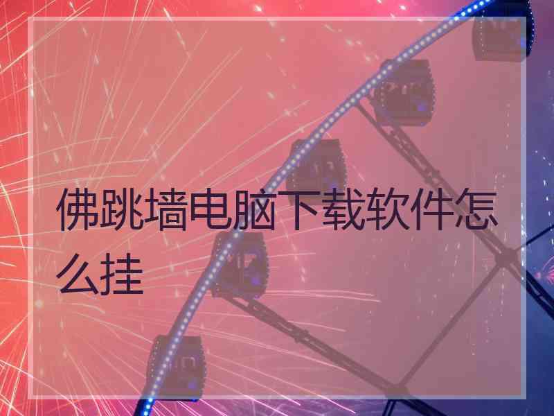 佛跳墙电脑下载软件怎么挂