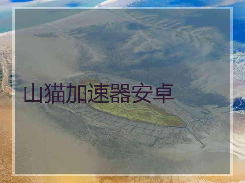 山猫加速器安卓