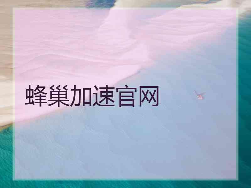 蜂巢加速官网