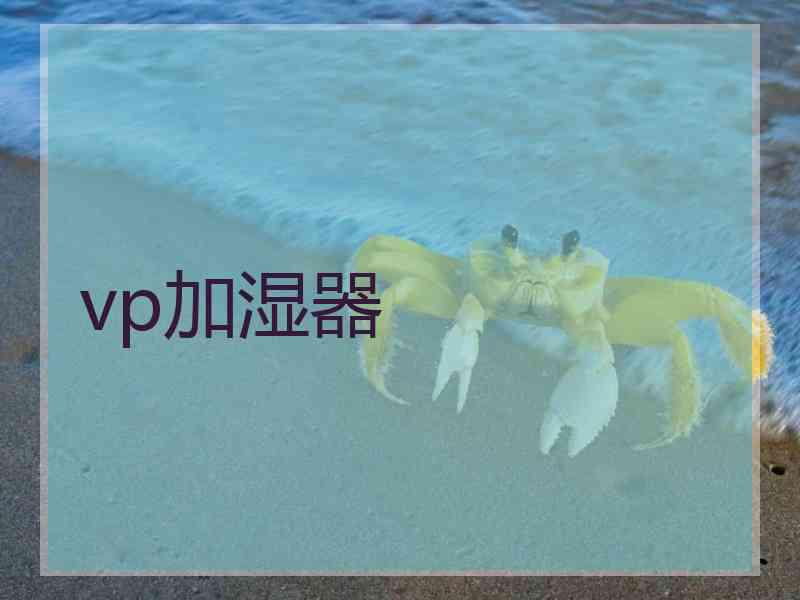 vp加湿器