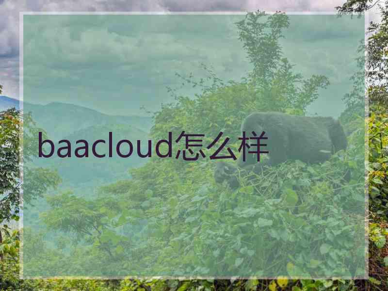 baacloud怎么样