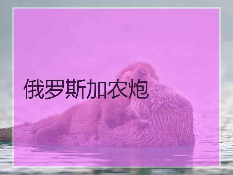俄罗斯加农炮