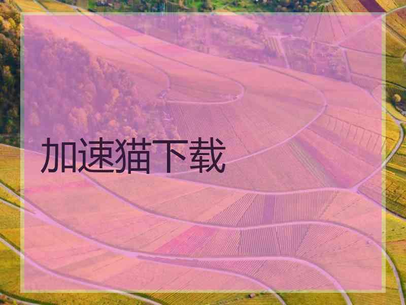 加速猫下载