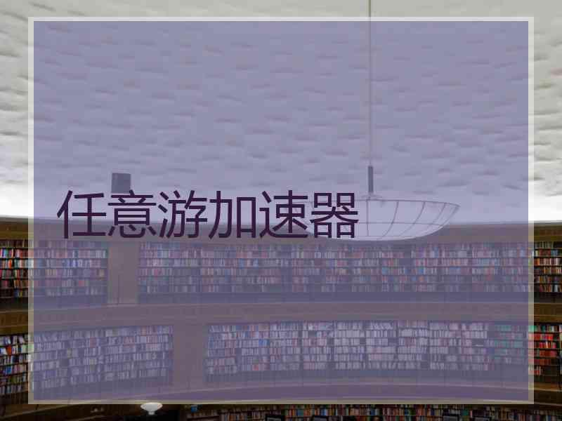 任意游加速器