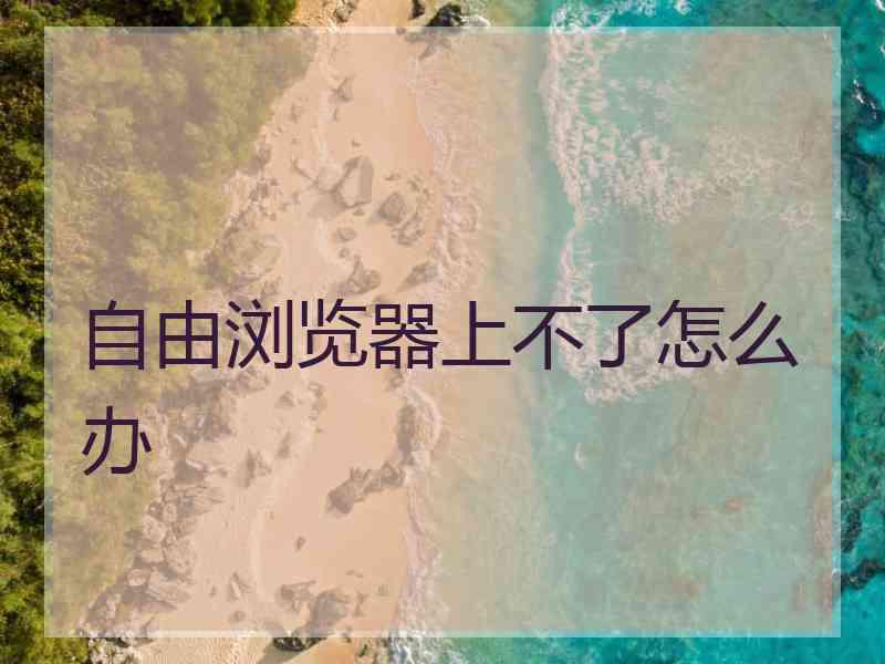 自由浏览器上不了怎么办