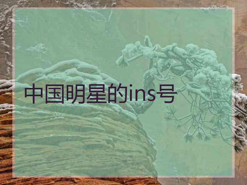 中国明星的ins号