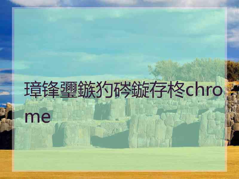 璋锋瓕鏃犳硶鏇存柊chrome