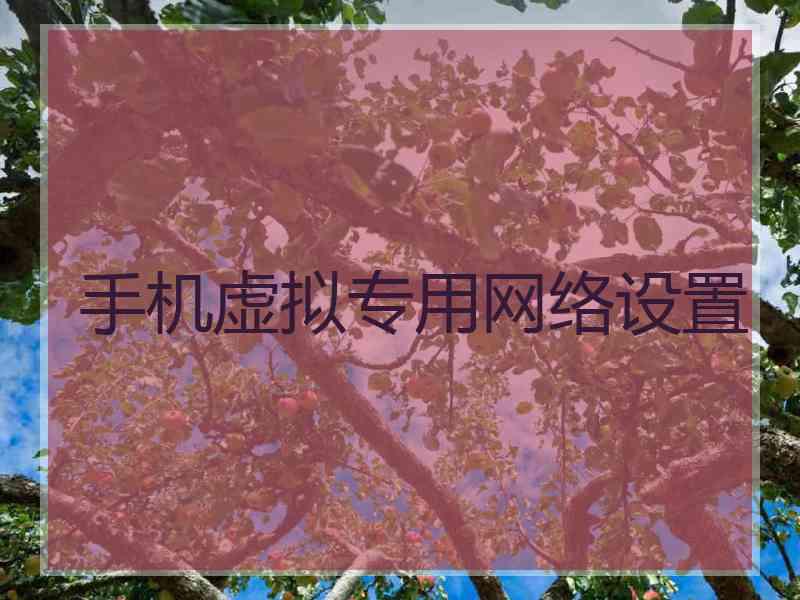 手机虚拟专用网络设置