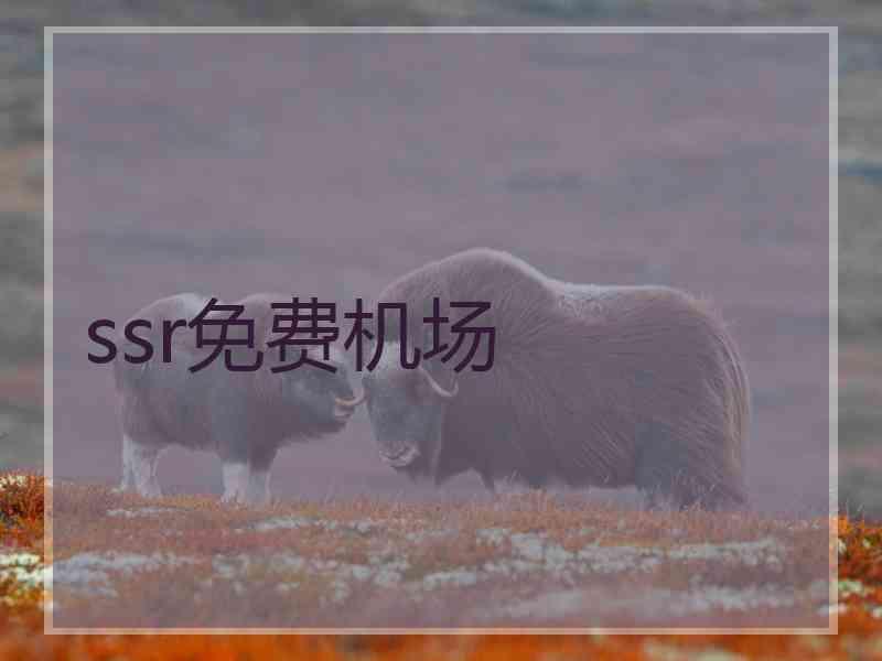 ssr免费机场
