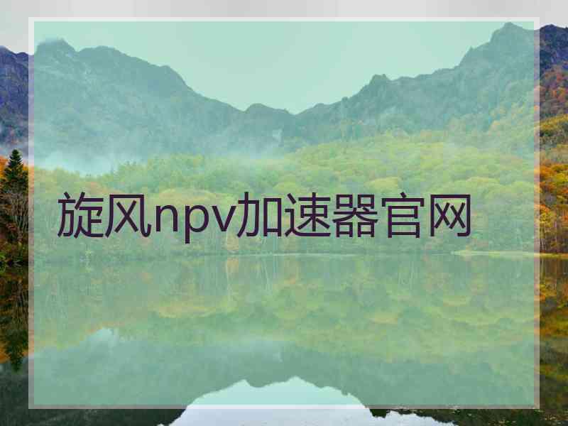 旋风npv加速器官网