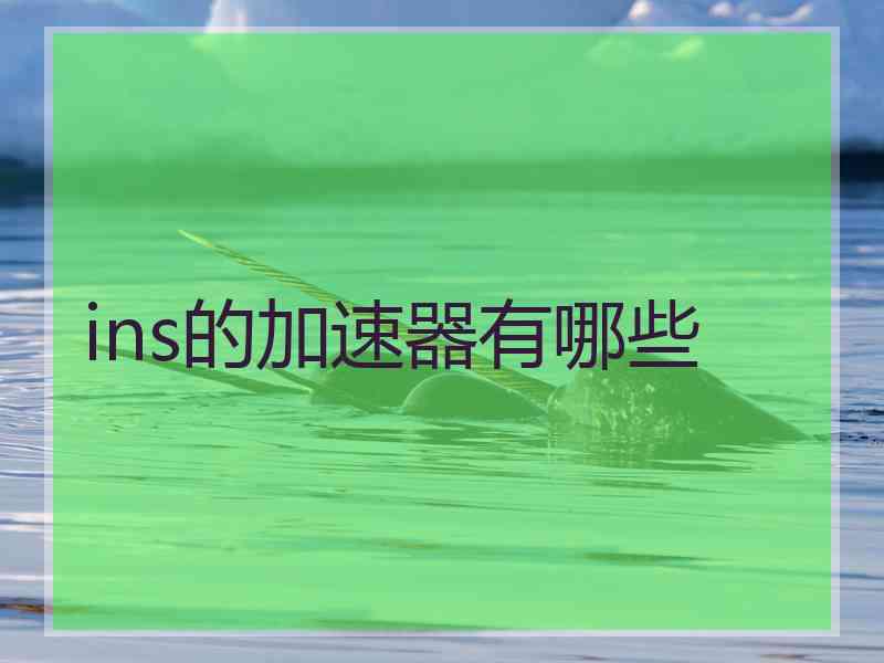 ins的加速器有哪些