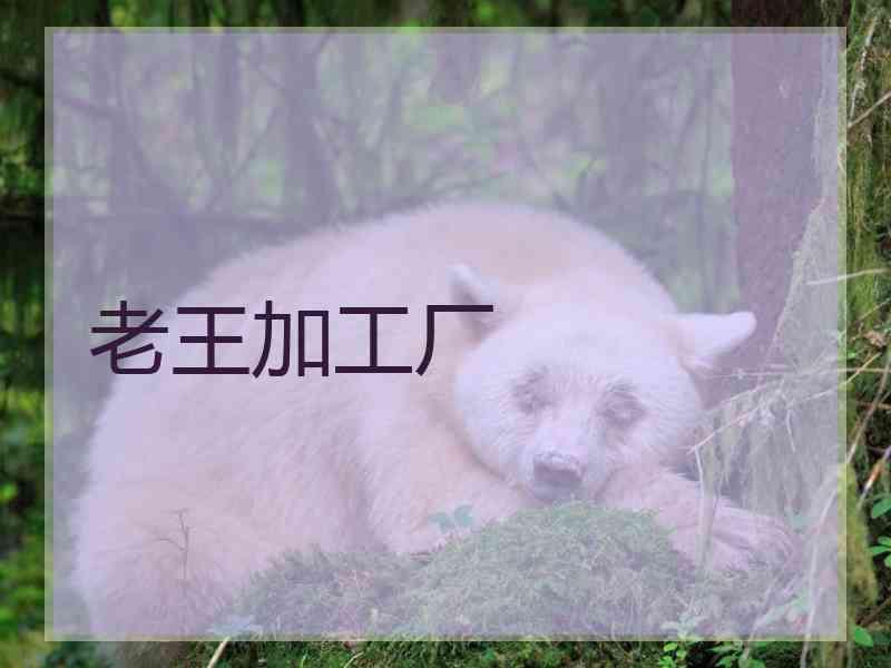 老王加工厂