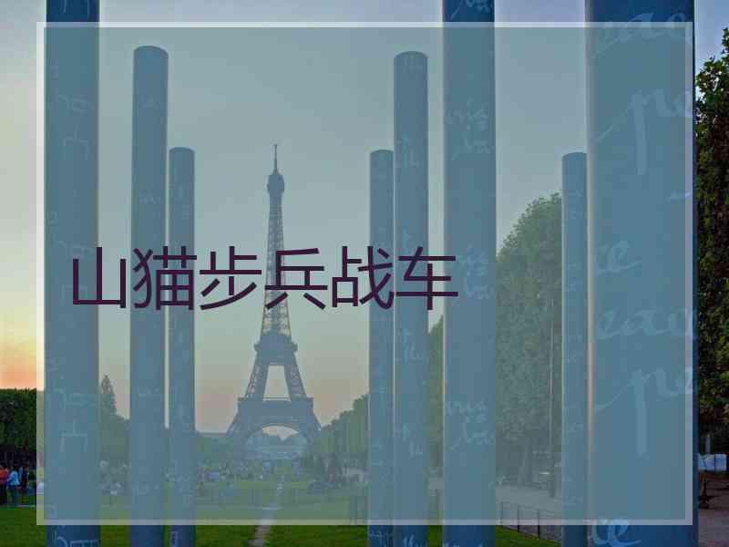 山猫步兵战车