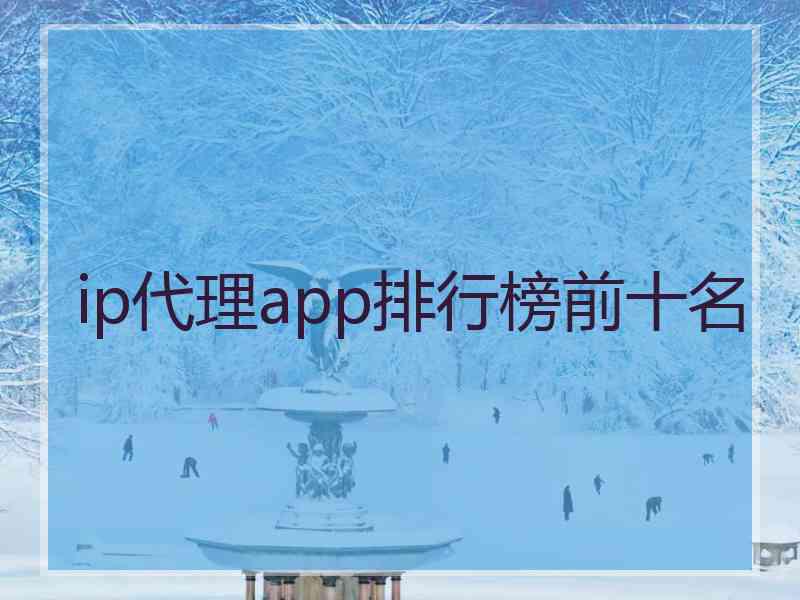 ip代理app排行榜前十名
