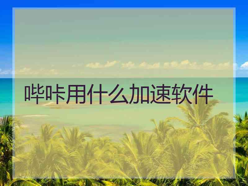 哔咔用什么加速软件