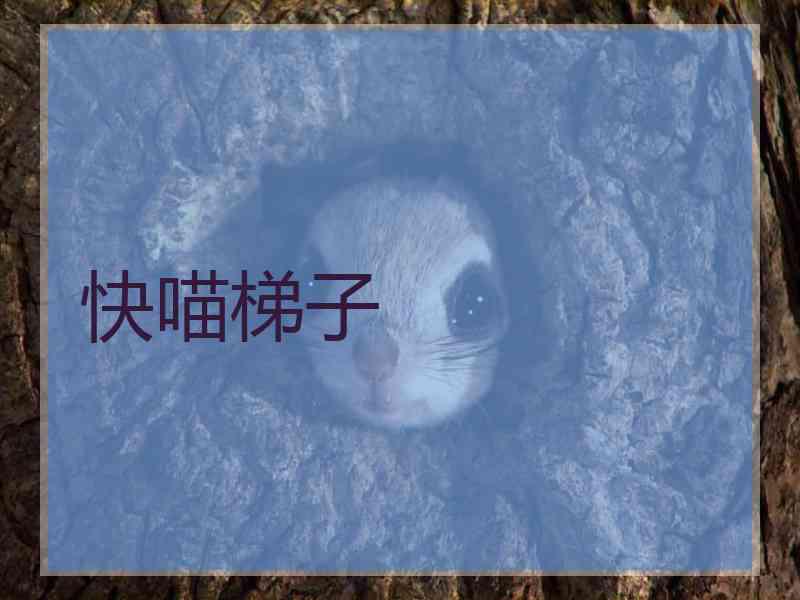快喵梯子