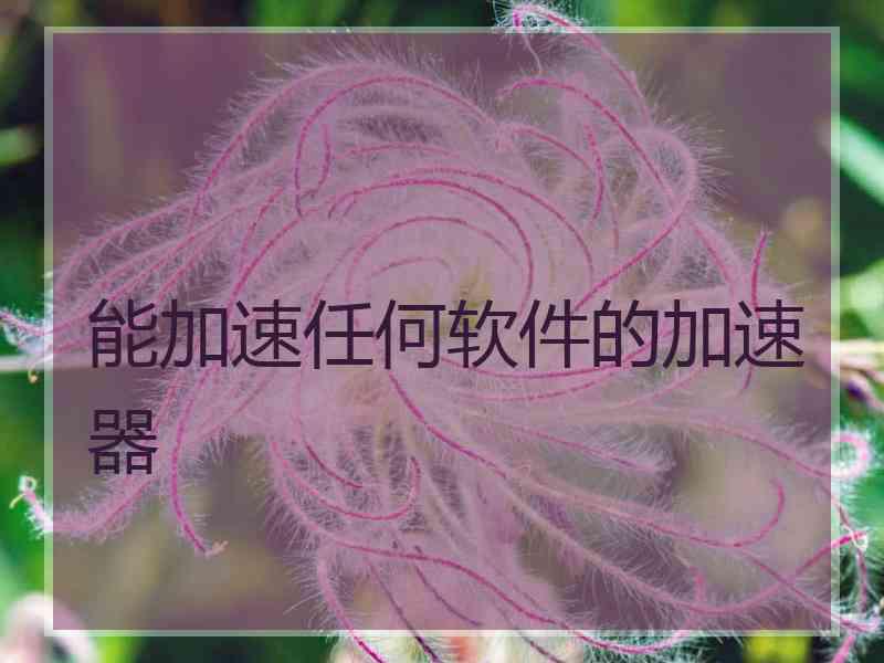 能加速任何软件的加速器