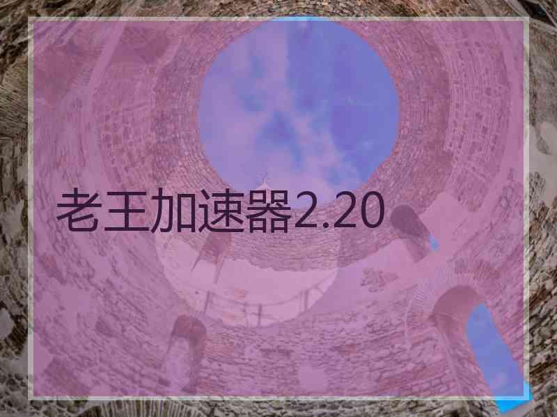 老王加速器2.20