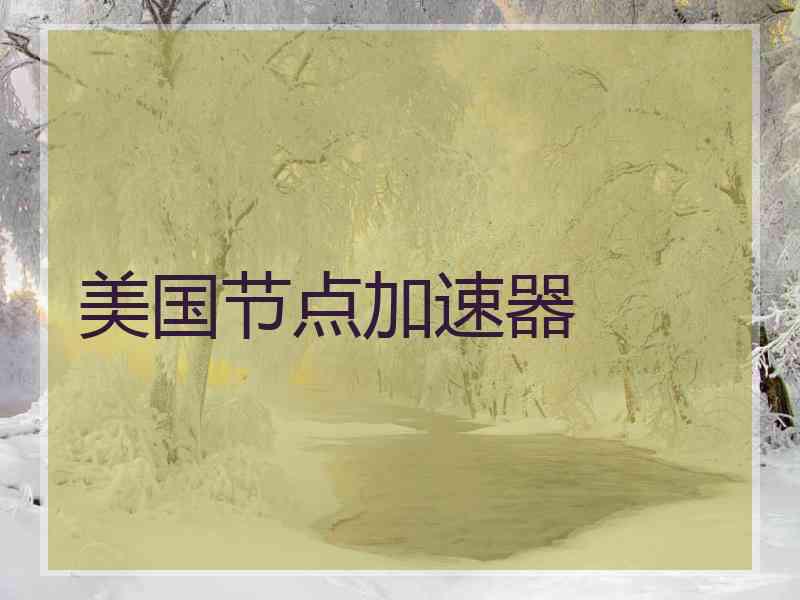 美国节点加速器