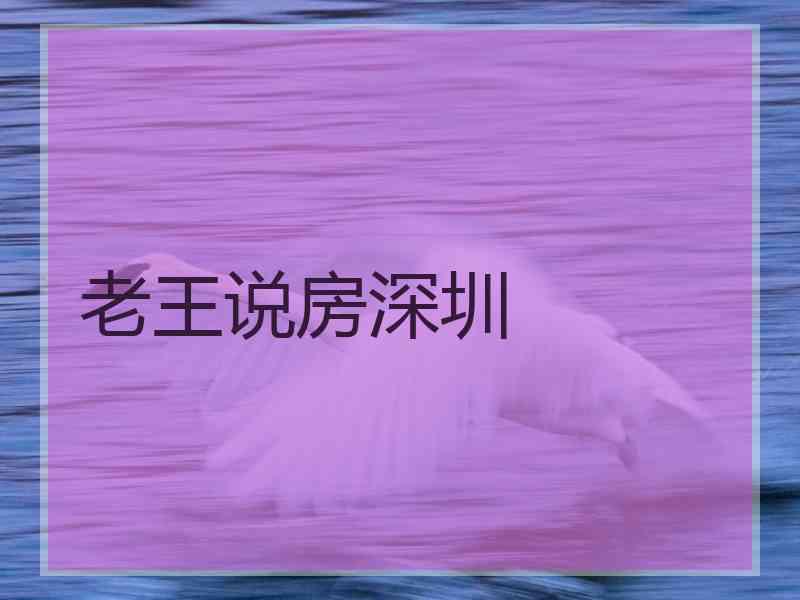 老王说房深圳