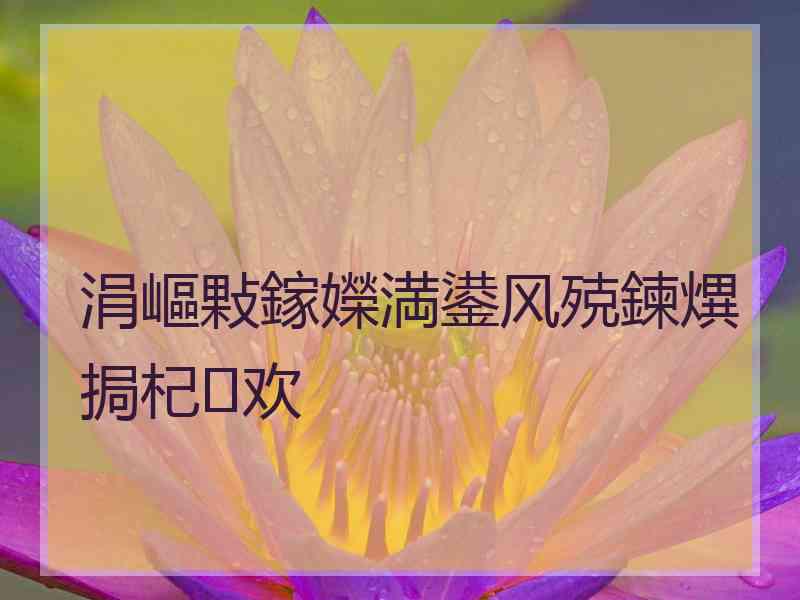 涓嶇敤鎵嬫満鍙风殑鍊熼挶杞欢