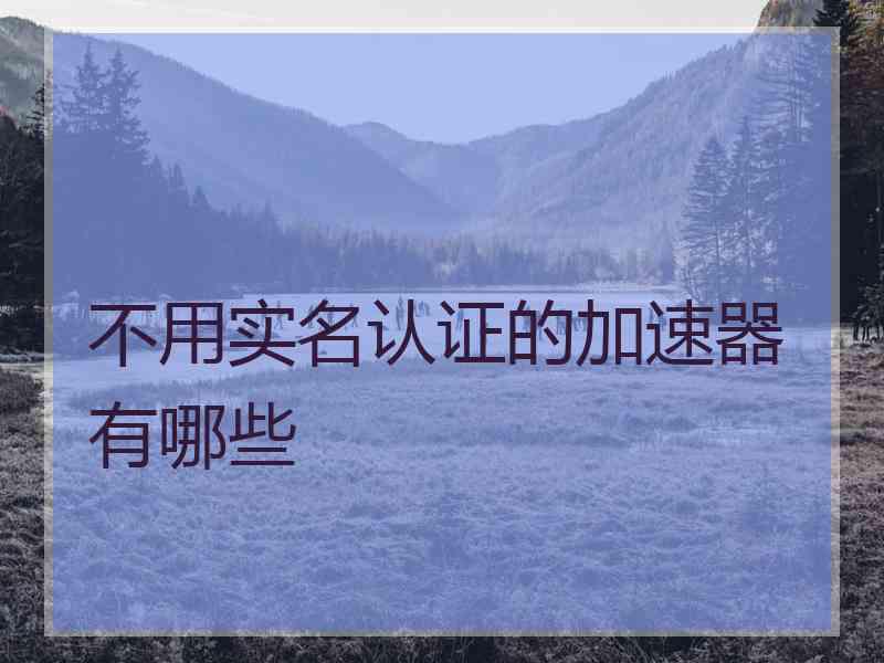 不用实名认证的加速器有哪些