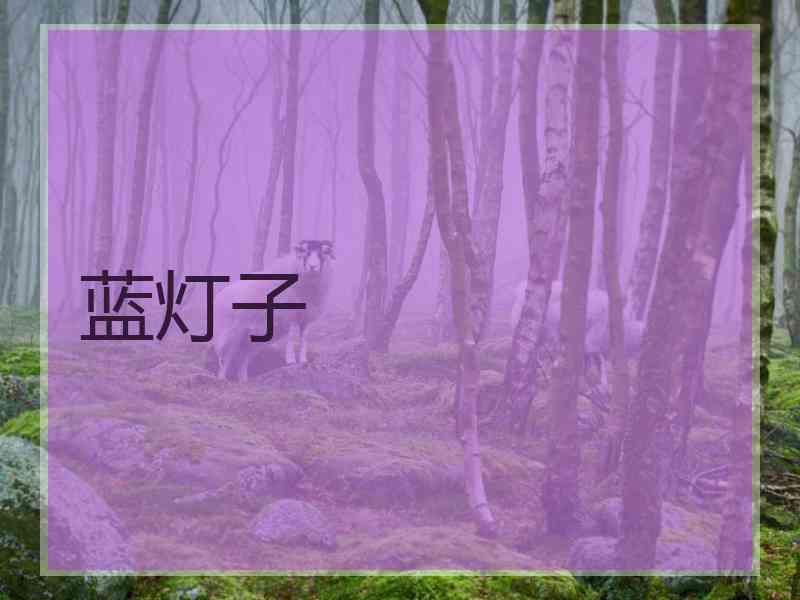 蓝灯子