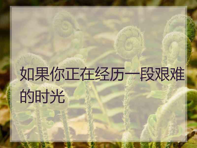 如果你正在经历一段艰难的时光