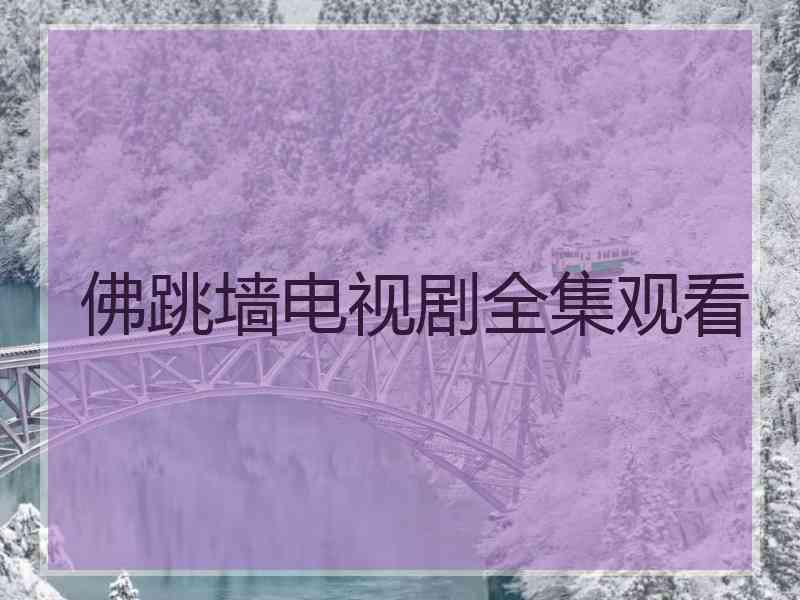 佛跳墙电视剧全集观看