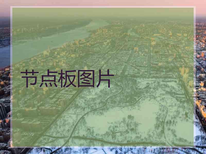 节点板图片