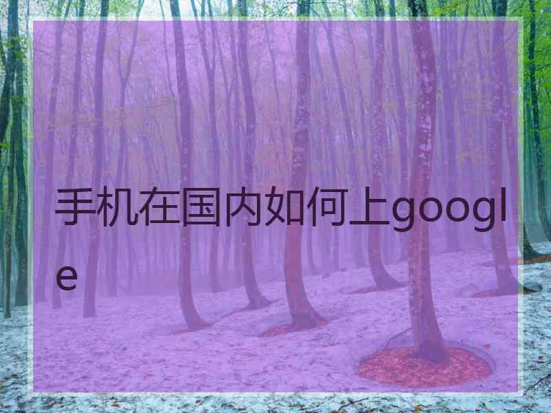 手机在国内如何上google