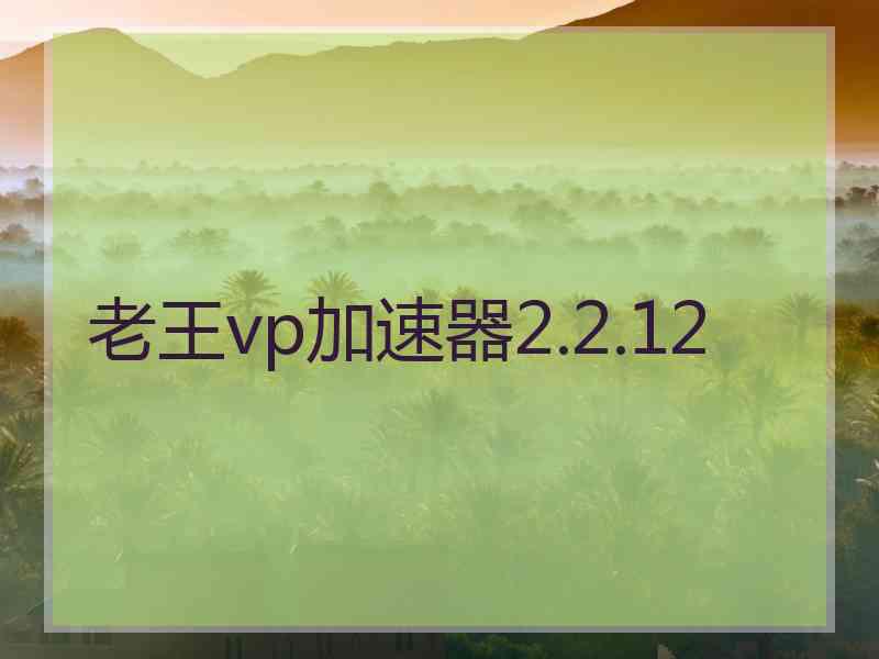 老王vp加速器2.2.12