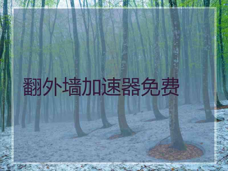翻外墙加速器免费