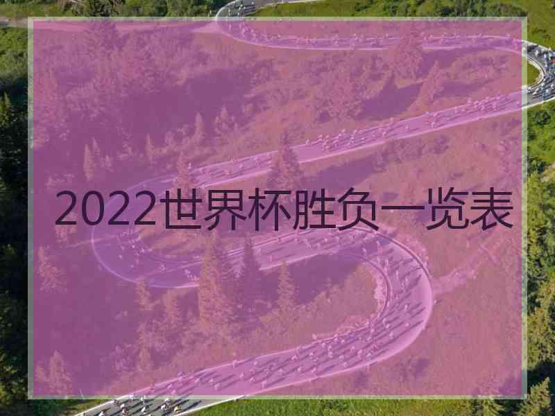 2022世界杯胜负一览表