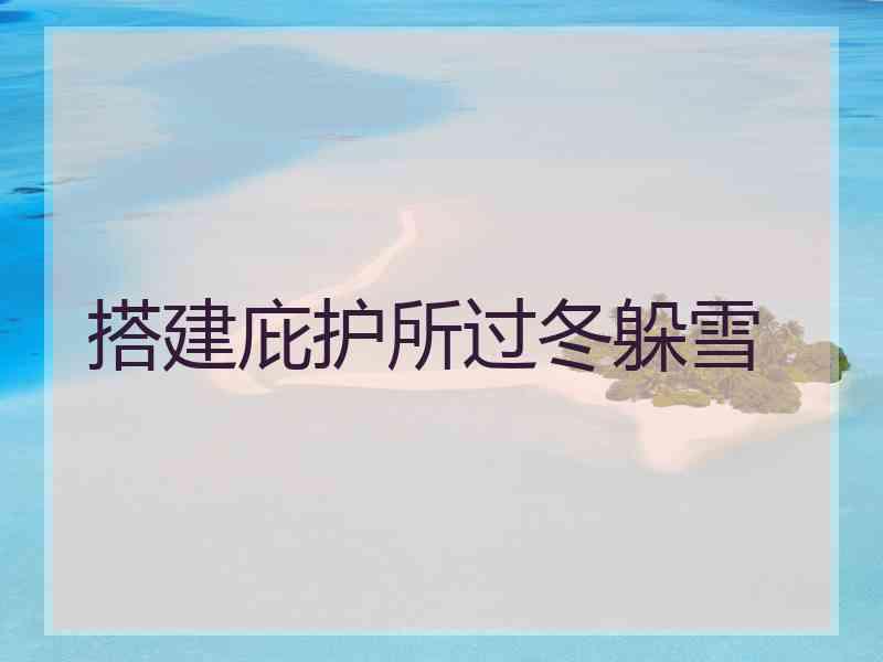 搭建庇护所过冬躲雪
