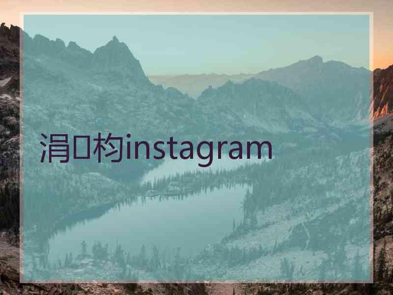 涓枃instagram