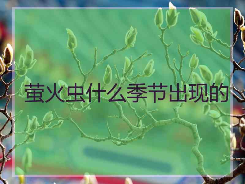 萤火虫什么季节出现的