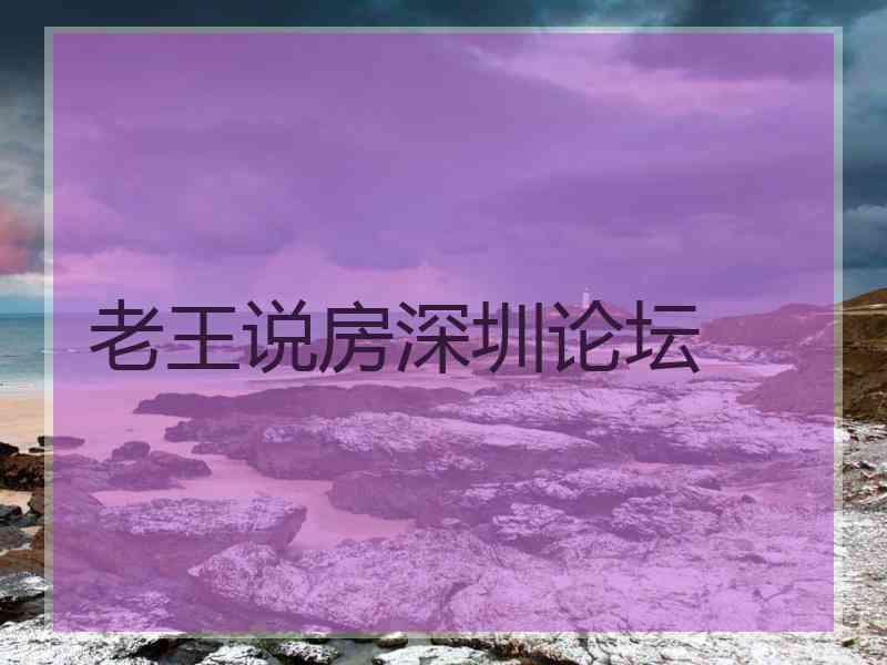 老王说房深圳论坛