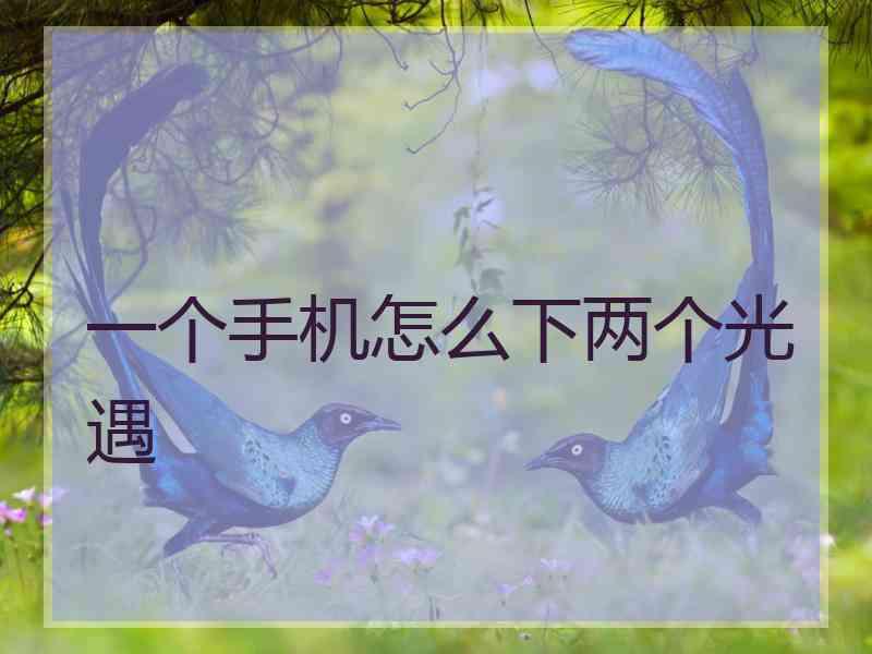 一个手机怎么下两个光遇