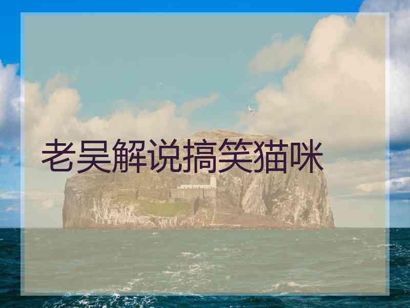老吴解说搞笑猫咪