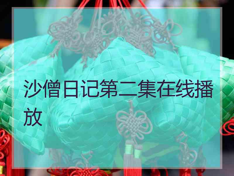 沙僧日记第二集在线播放