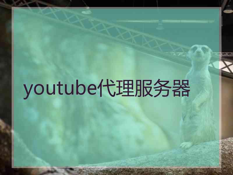 youtube代理服务器