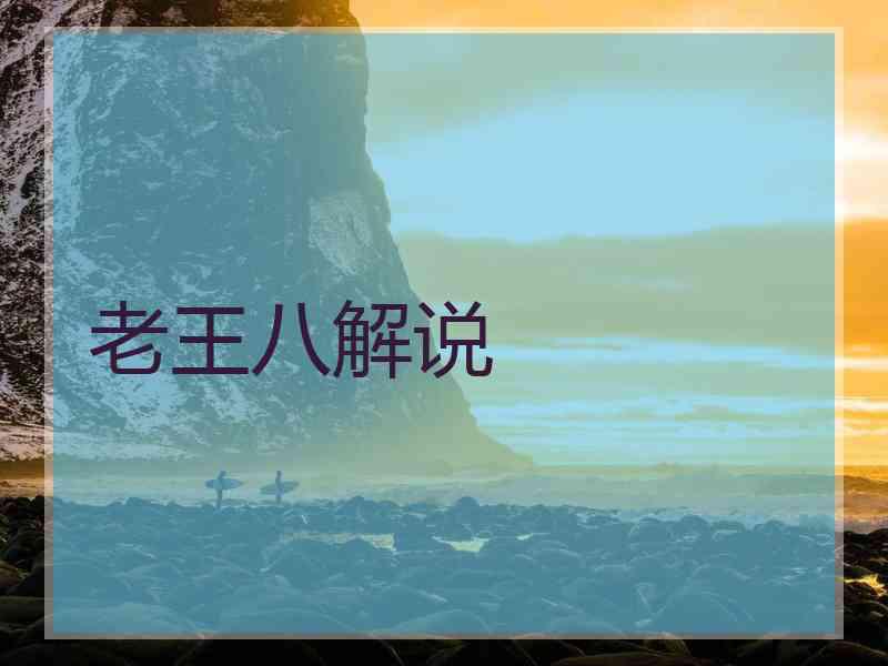 老王八解说