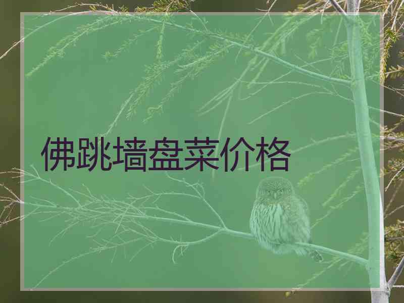 佛跳墙盘菜价格